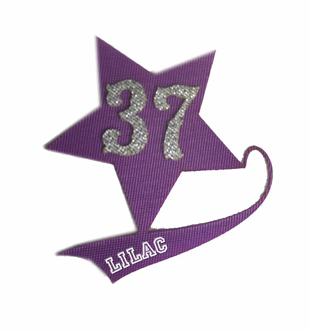 LT Purple Adhesive Backing  Tackle twill  fabric  for Tackle twill jersey  Iron on numbers name kits for hockey wear