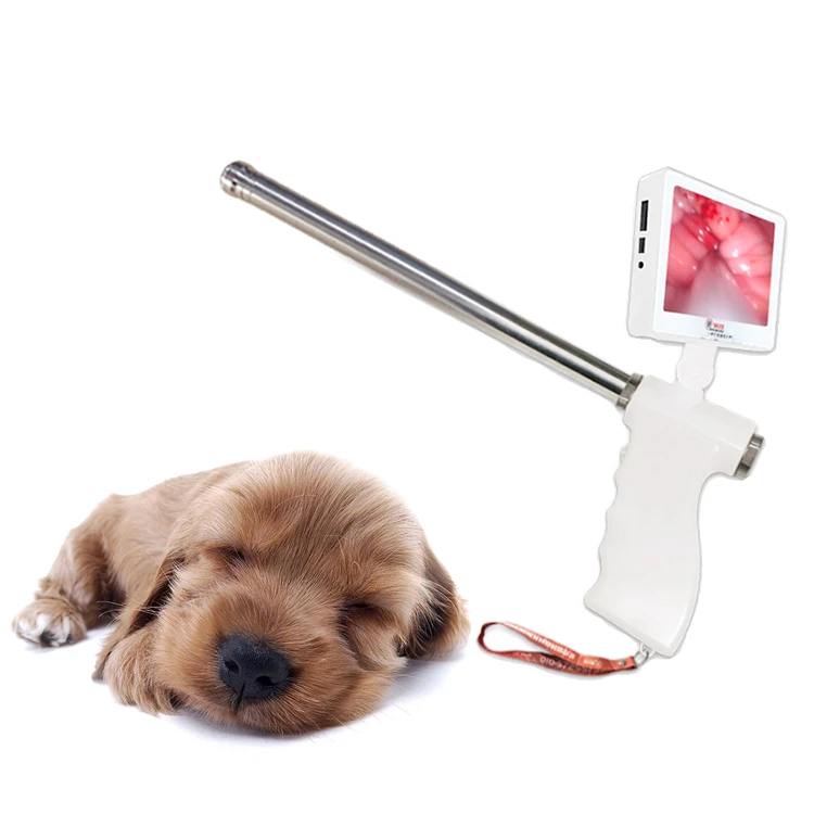 Hot Selling Animal Equipment Cattle Visual Insemination Gun artificial Insemination Gun For Cattle