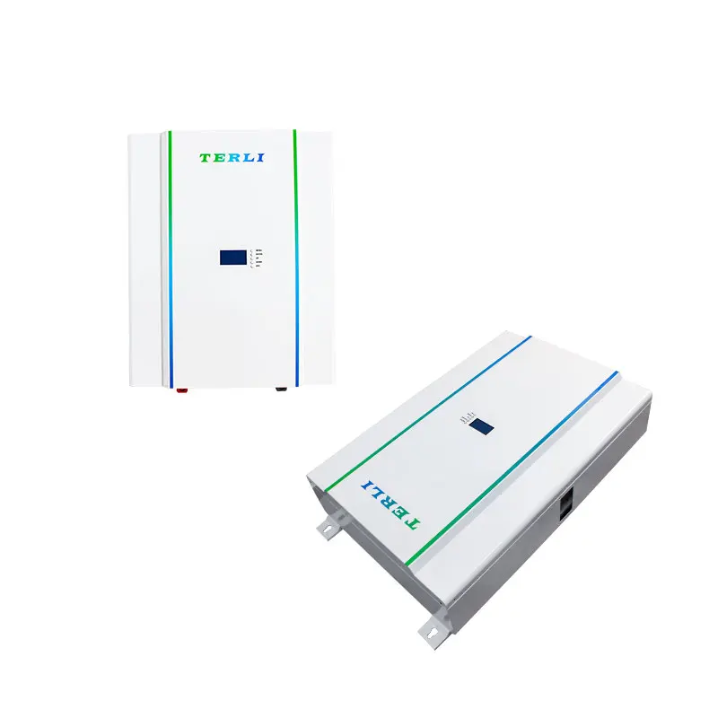 TerliEnergy Powerwall 48v Lithium Ion Battery 5kwh 3Kwh For Home Energy Storage Support Ups