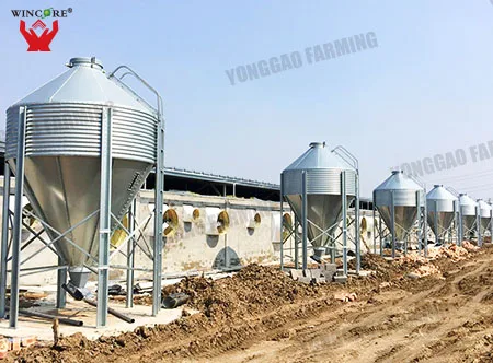 Automated Feeding System Farm Husbandry Intelligent Feeding System lead the industry golden supplier bin storage