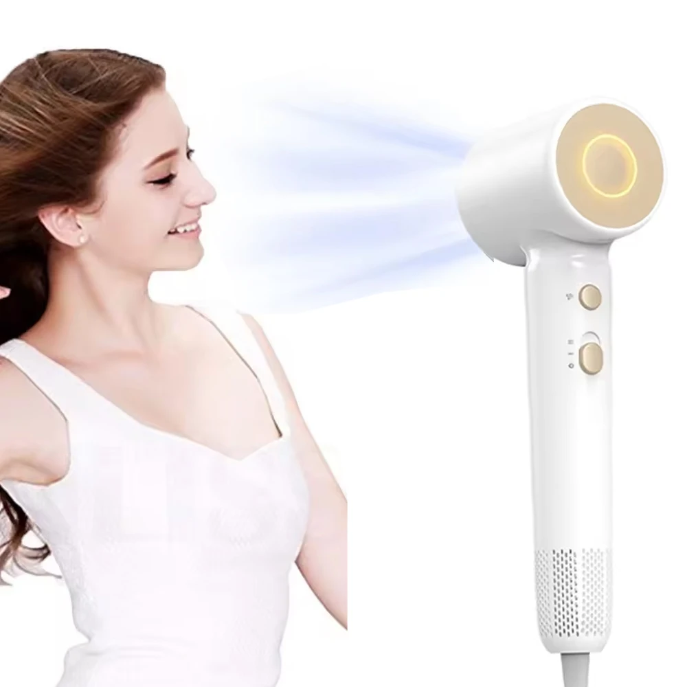 1500W High Speed Ionic Hair Dryer 110000RPM Professional Brushless Motor Salon Home Low Noise Hair Dryer