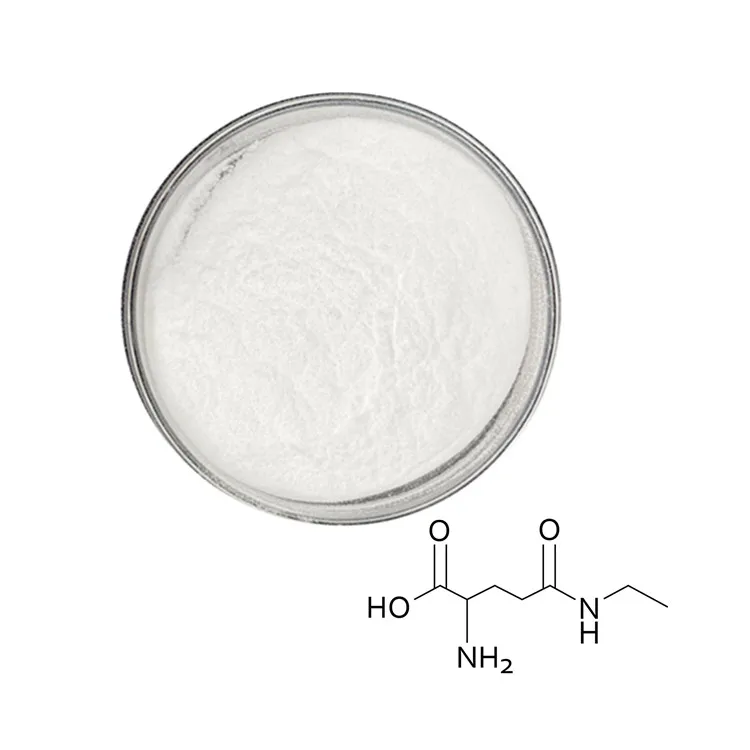 Заводская поставка оптовые добавки органический экстракт L-теанина лучший порошок оптовая продажа CAS 3081-6