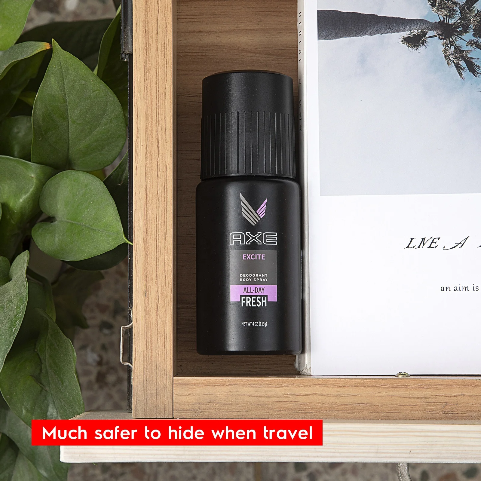 AXE Spray Can Diversion Safe Stash Hidden Storage with Smell Proof Bag
