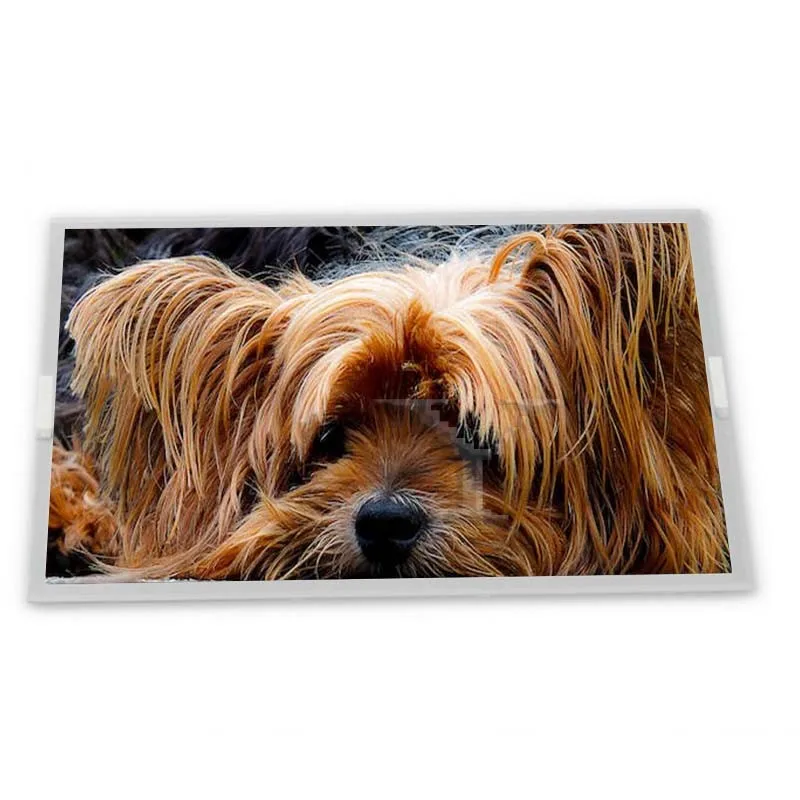 High Resolution 17.3-Inch WLED Mitsubishi Compatible ODM LCD Display Module G173HW01 V0 1920*1080 TFT IPS LCD Modules