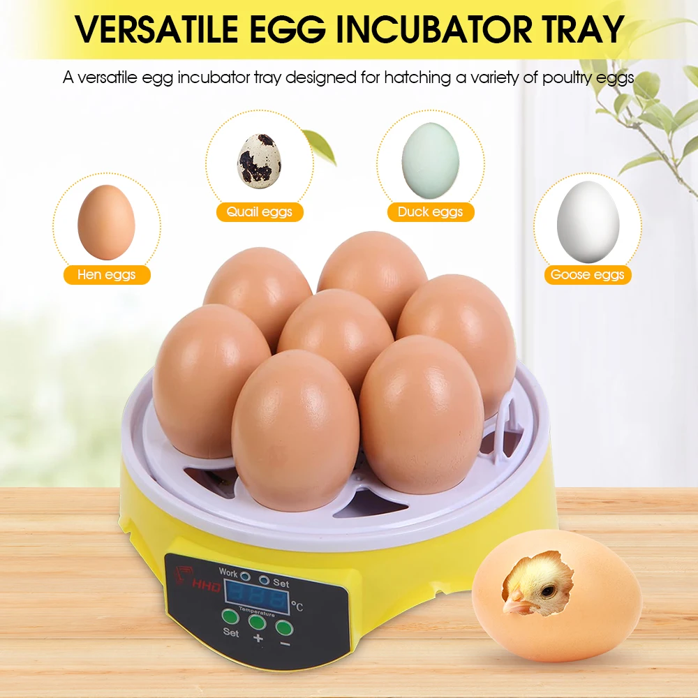 HHD Mini Automatic EW 7 Egg Incubator Parts Element Hatching Eggs Home Use For Chicken
