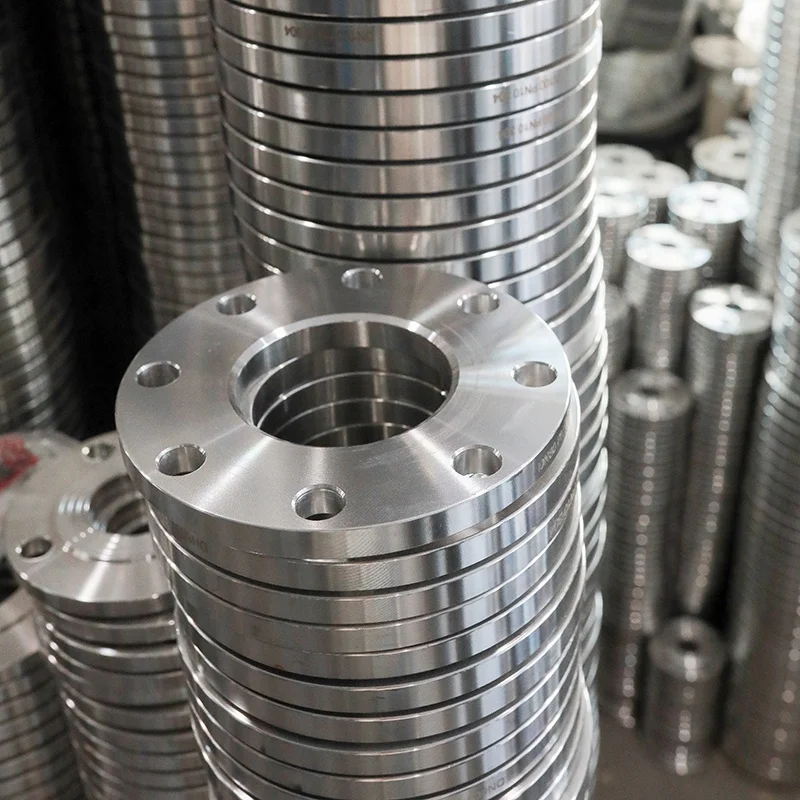  Customized DN25 DN40 DN80 DN100 DN150 DN600 PN10 Flange Steel Stainless Welded Neck Slip