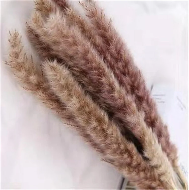 YAYUN CH2042 Hot Selling Home Decor Natural Dried Flower Pampas Grass