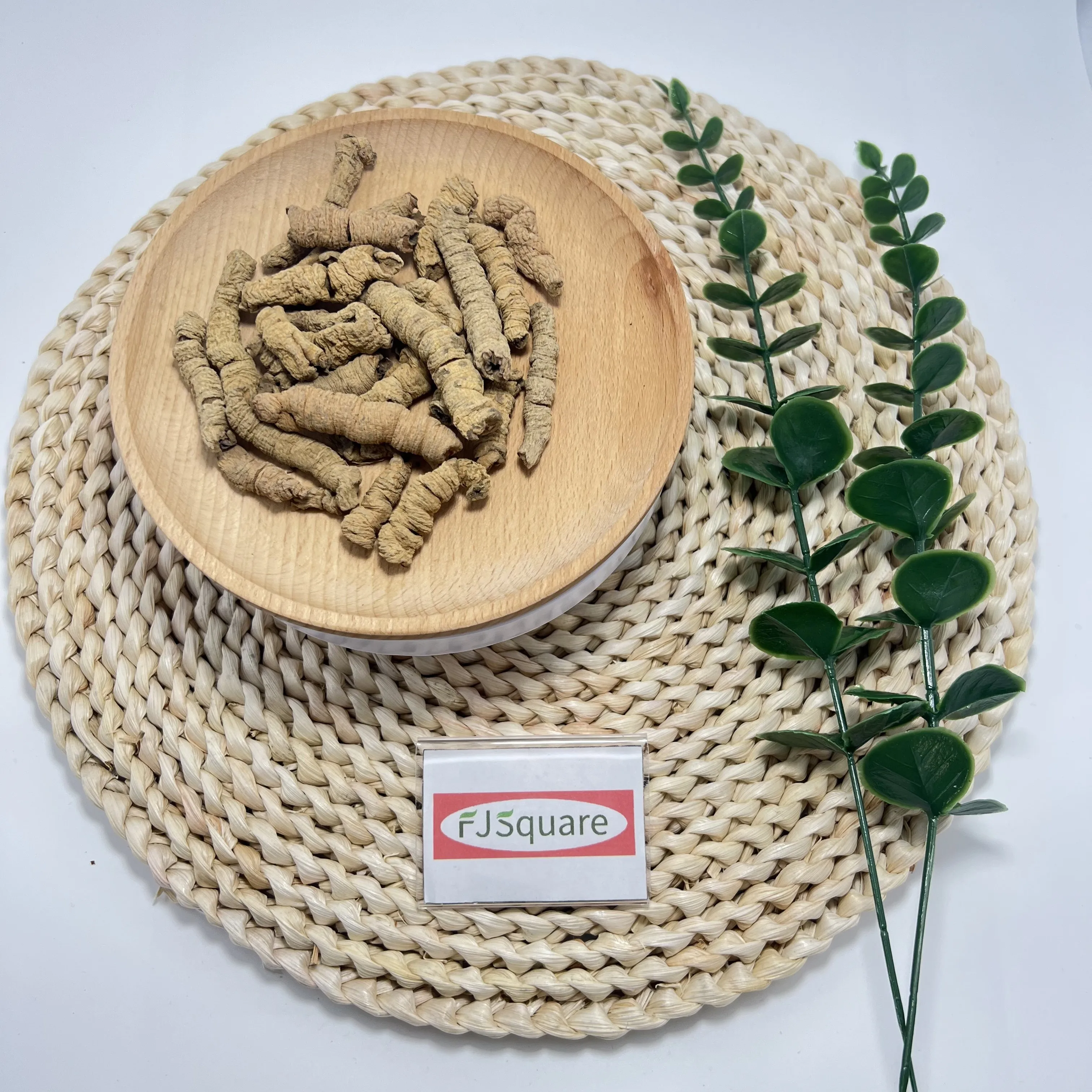 Wholesale Morinda natural dried Morinda high quality Chinese herbal