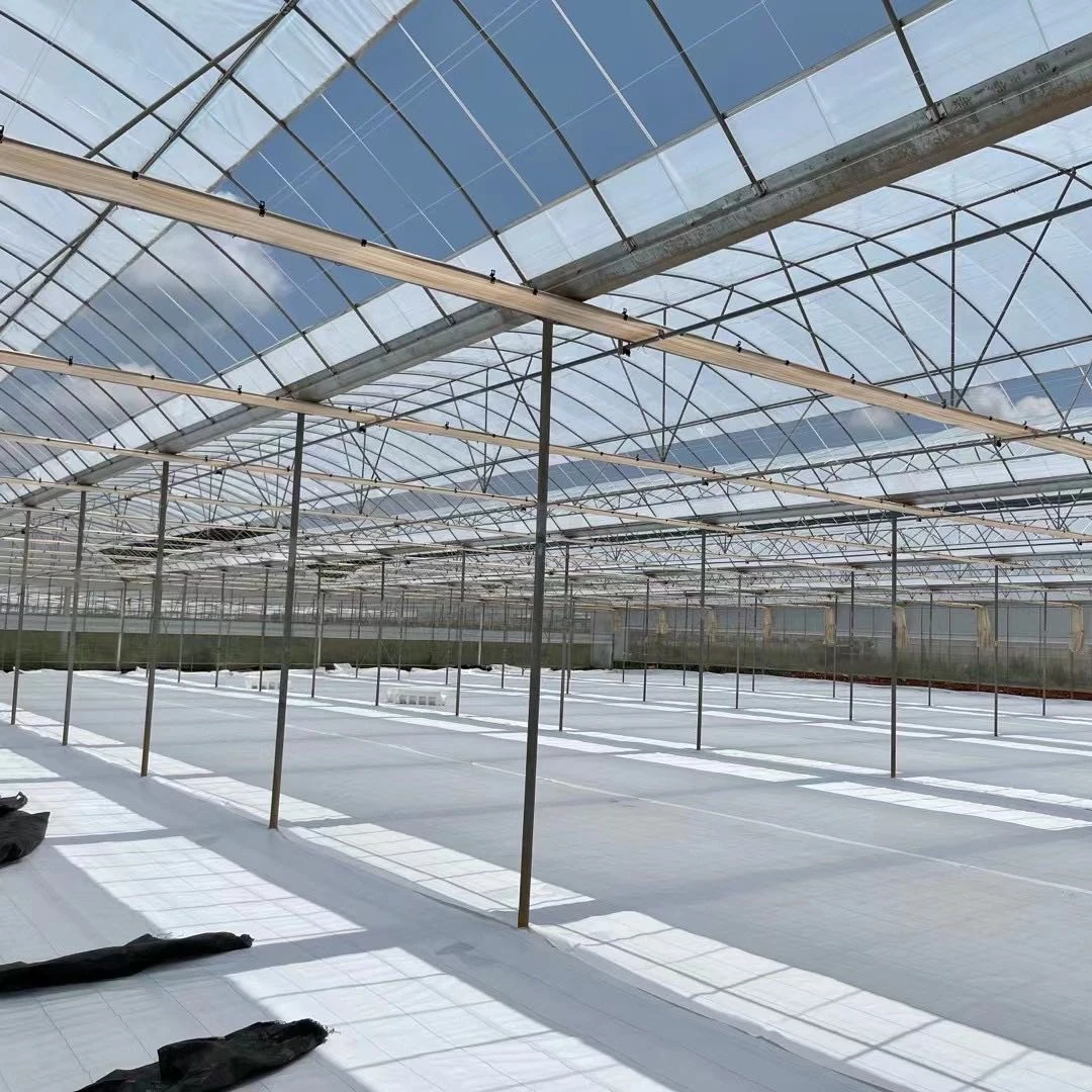 Commercial Greenhouse Kits Single-span Vegetable Seeding Greenhouse Frame Pe Plastic Film Tunnel Strawberry Greenhouse For Sale