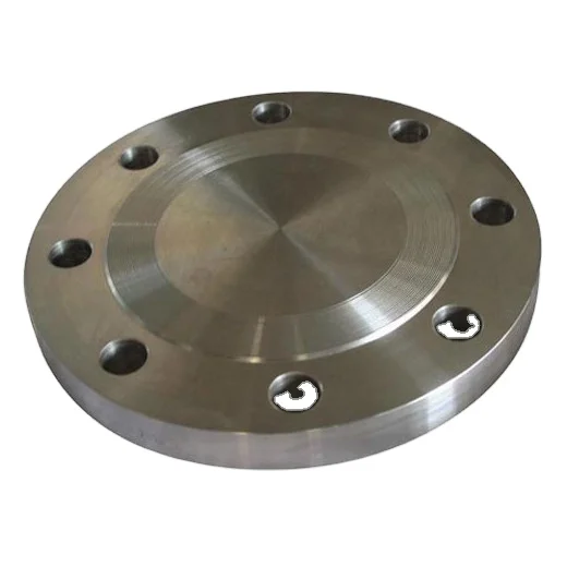 carbon steel flange