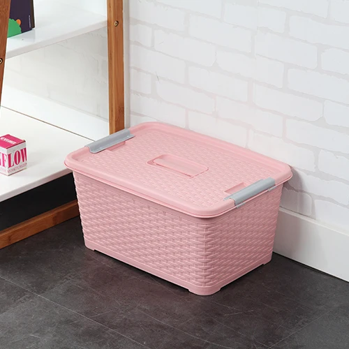 Plastic Rattan Storage Box