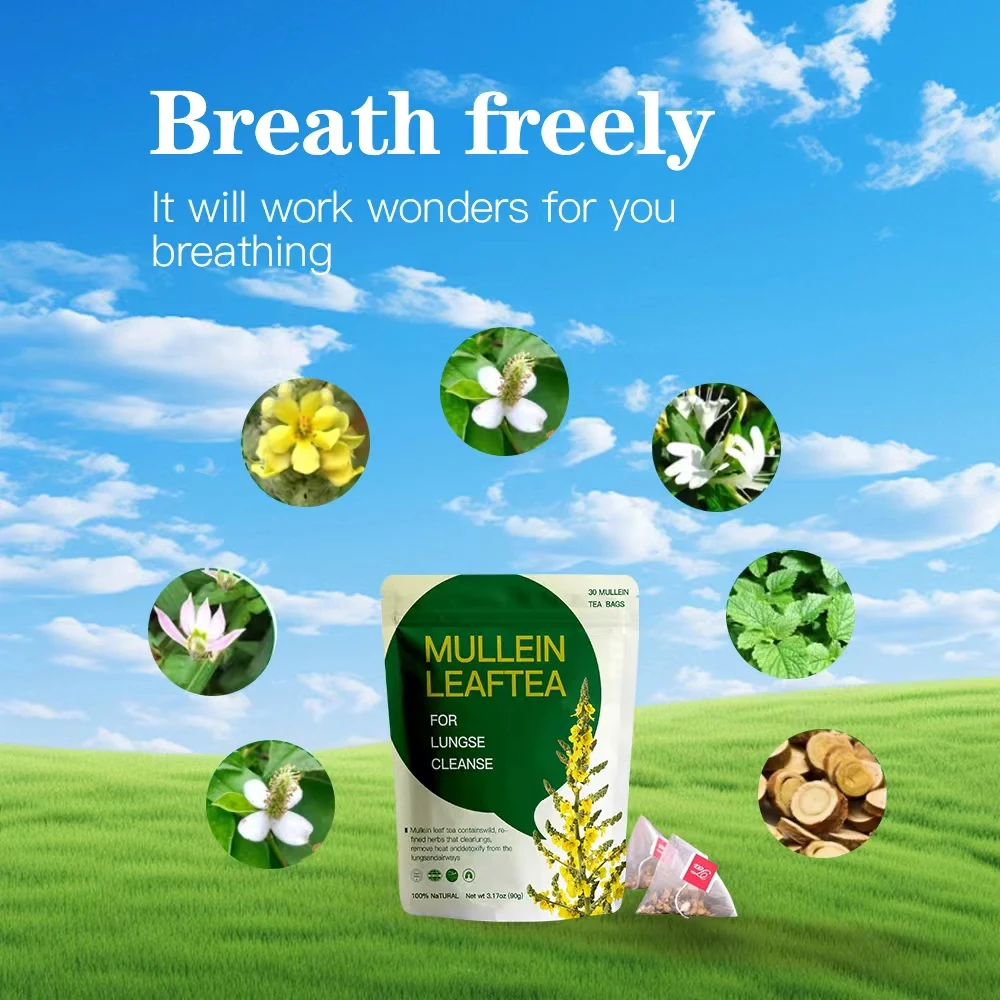 Hot Sale Mullein and Houttuynia Cordata Tea Organic Herbal Tea Catherine Slimming Herbal Tea