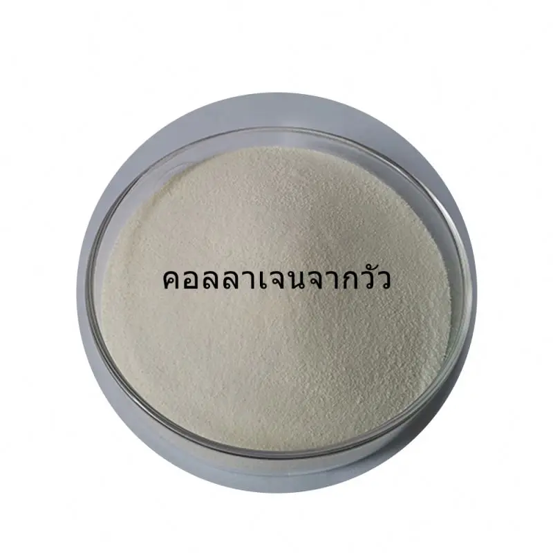 Коллагеновый пептидный порошок типа ii от частного производителя высококачественный коллаген