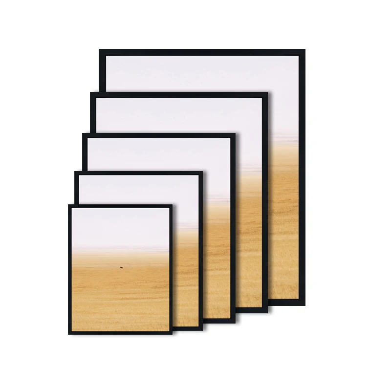 LB3510 12x16 16x20 18x24 20x24 inches House Office Decor Metal Photo Frame Wall Mounted Hanging Aluminum Poster Picture Frame