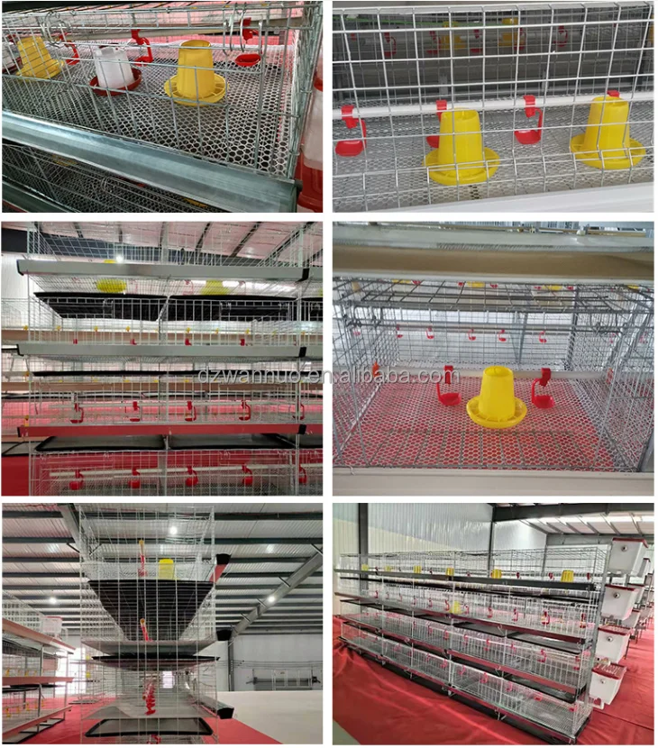 Poultry farm automatic chicken broiler day old chicks baby breeding cage H type 4 tires chicks brooder cage for home use