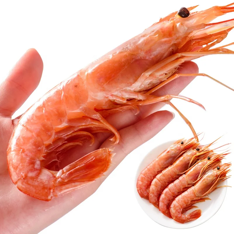 
Argentine Red Shrimp 