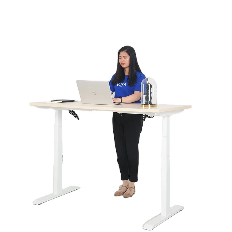 height adjustable A9 computer USB electric lift table dual motors sit stand desk