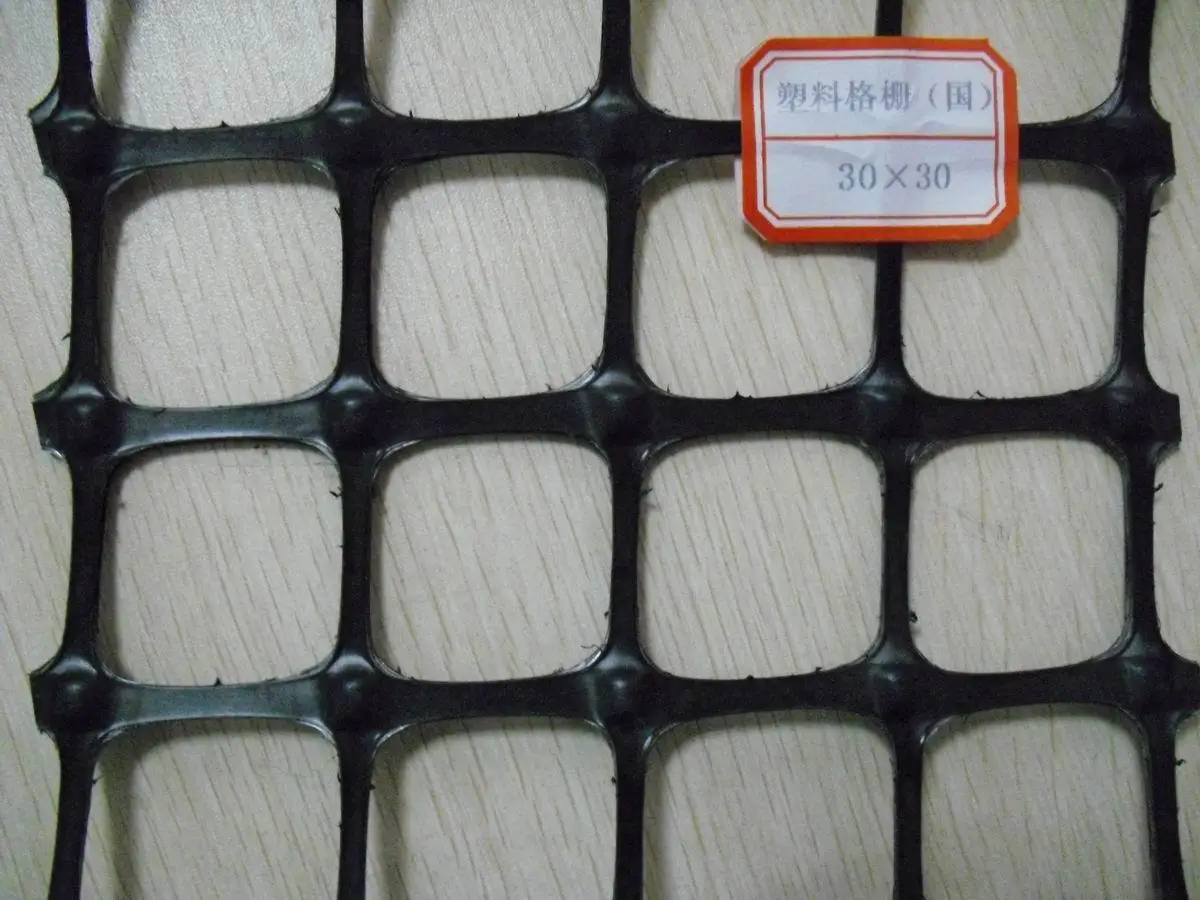 geogrid4.jpg