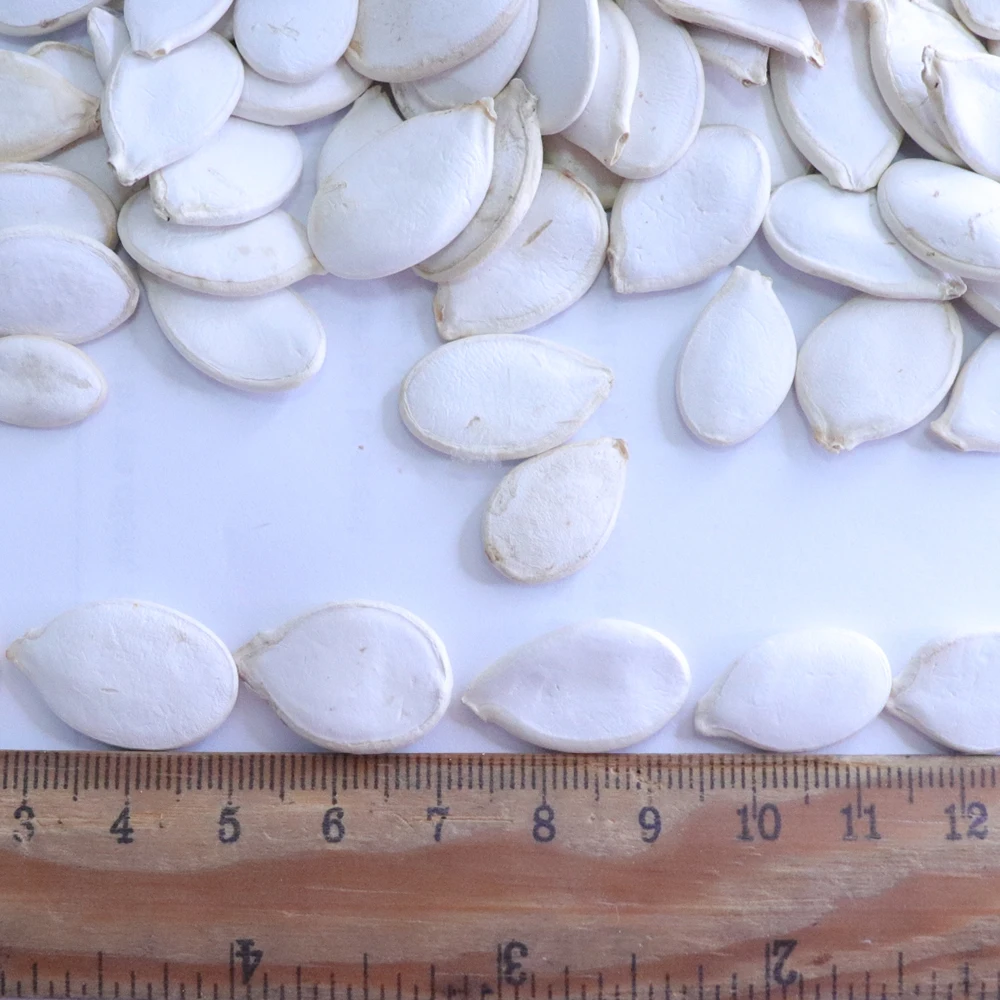 Chinese Raw Snow White pumpkin seeds price pumpkin seeds kernal 25kg pumpkin seeds