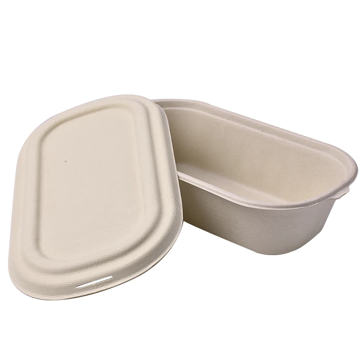 eco friendly food packaging container from bagasse containers manufacturer