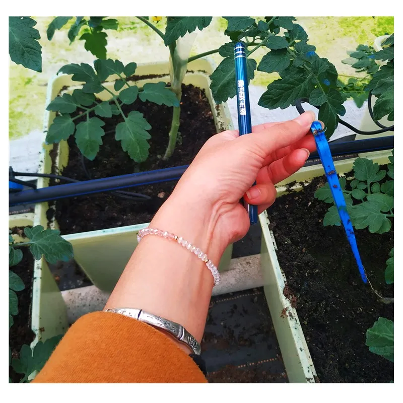 China Hydroponics greenhouse aquaponics greenhouse for tomato lettuce mango strawberry culture