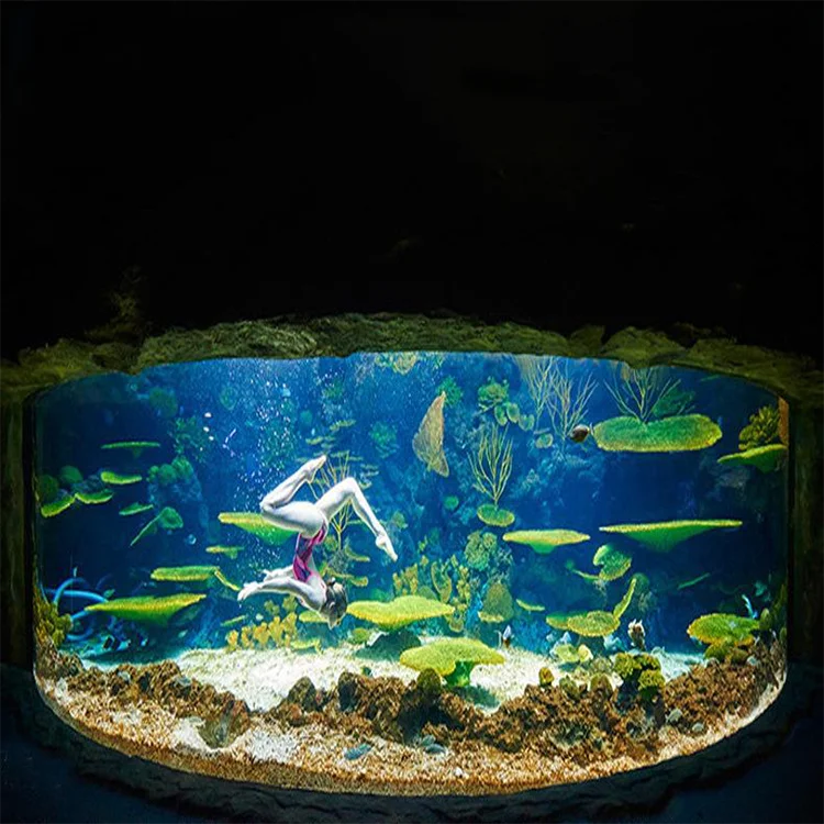 Competitive Prices Fish Ornamental Fish Bowl Aquarium, Koi Decorative Tank Fish@