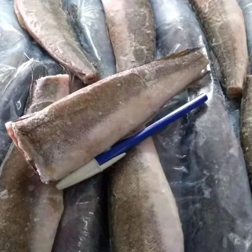 Замороженный аргентинский Hake HGT