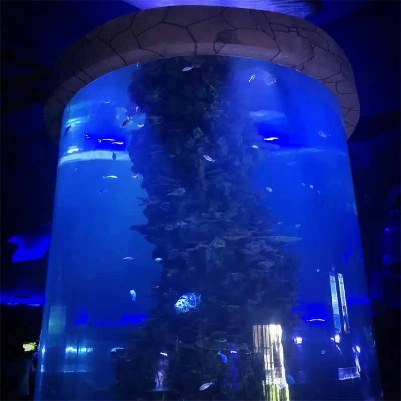  Заводской индивидуальный аквариум Ocean World Прямая продажа с фабрики огромный