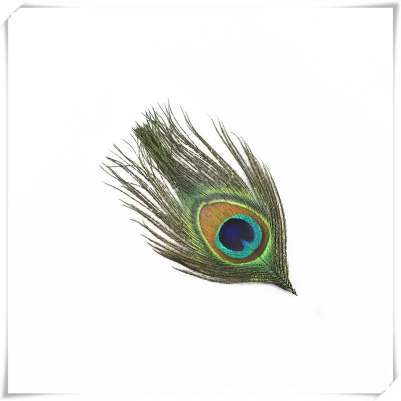 wholesale Natural Real Peacock Feathers For Crafts 10-80cm 50-100-200pcsDIY Home Hotel decor room vase Wedding decoration plumes