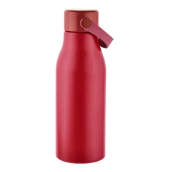 New Design Aluminum Sport Metal Drinking BPA Free ECO Friendly For LOGO Disposable Water Bottle 24oz 700ML With Lid and Handle
