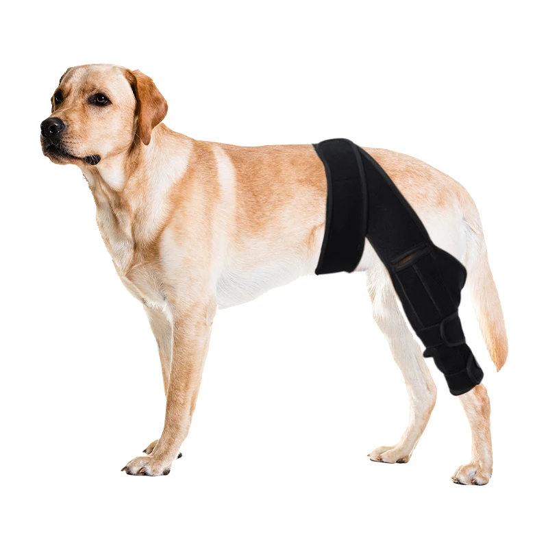 2207#Wholesale protective adjustable neoprene dog leg  brace and knee pads