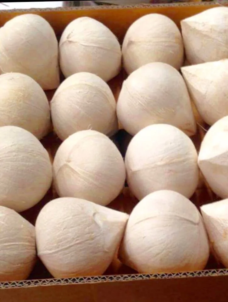 Свежий молодой кокос из Вьетнама/форма алмаза-Whatsapp