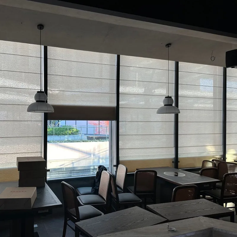 Interior New Design Fabric Curtain Sunscreen and Blackout Roman Shade Blind with Manual or Motorized System