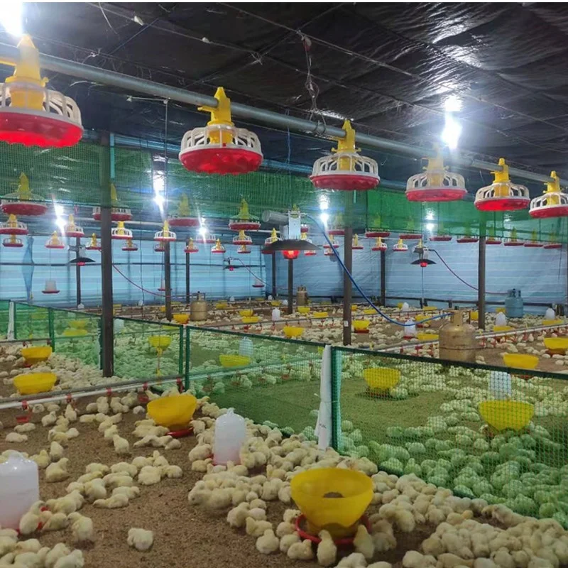 DAMLY SUNFLOWER Automatic Electric Gas Fired Heater for Poultry Farm Chicken House