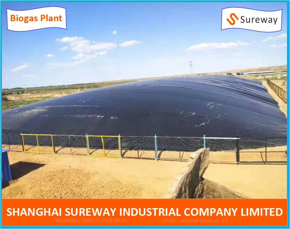 Геомембранный лагун HDPE для биогазовой установки