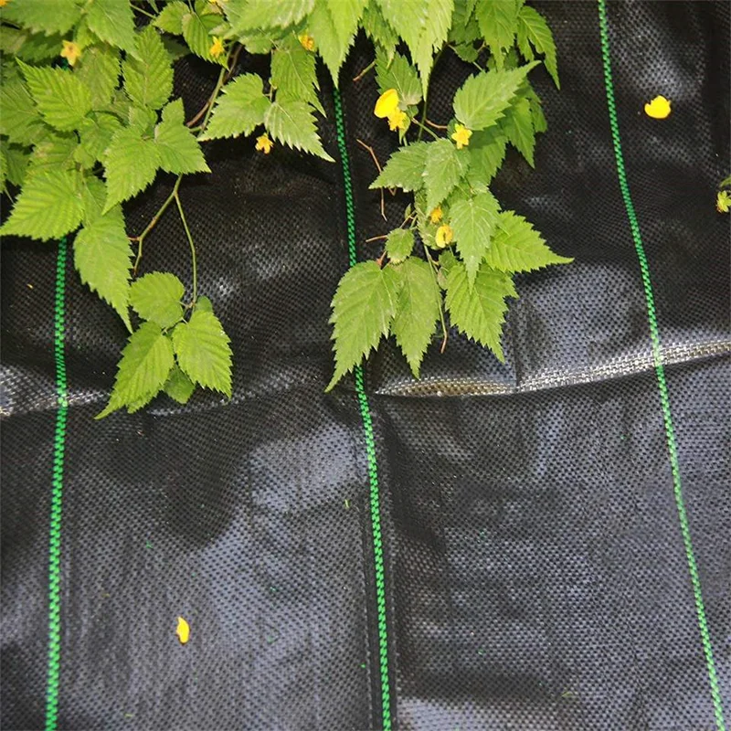 High permeability Black and green weed control mat woven roving agricultural ground cover