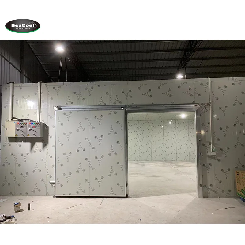 100mm 150mm -35 degree hinged door cold room latches and hinges bespoke sliding door and accessories