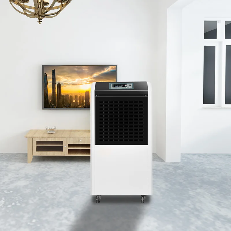 Silent Home Automatic Singapore Industrial Commercial Dehumidifier 150 Air Handling UnitOf Low Price Dehumidifier