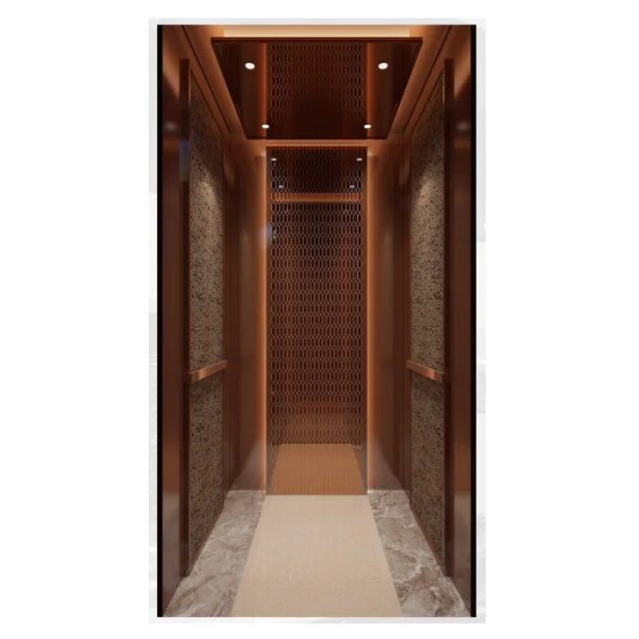 FUJI NIHON factory villa use Hotel 5 persons residential lift golden design Home Elevator