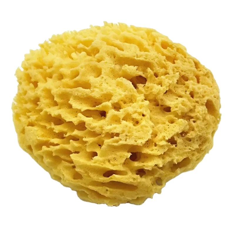 Lonx Sea Foam Sponge Organic Customized Packaging Natural Sea Sponge Wholesale Greece Natur Schwamm