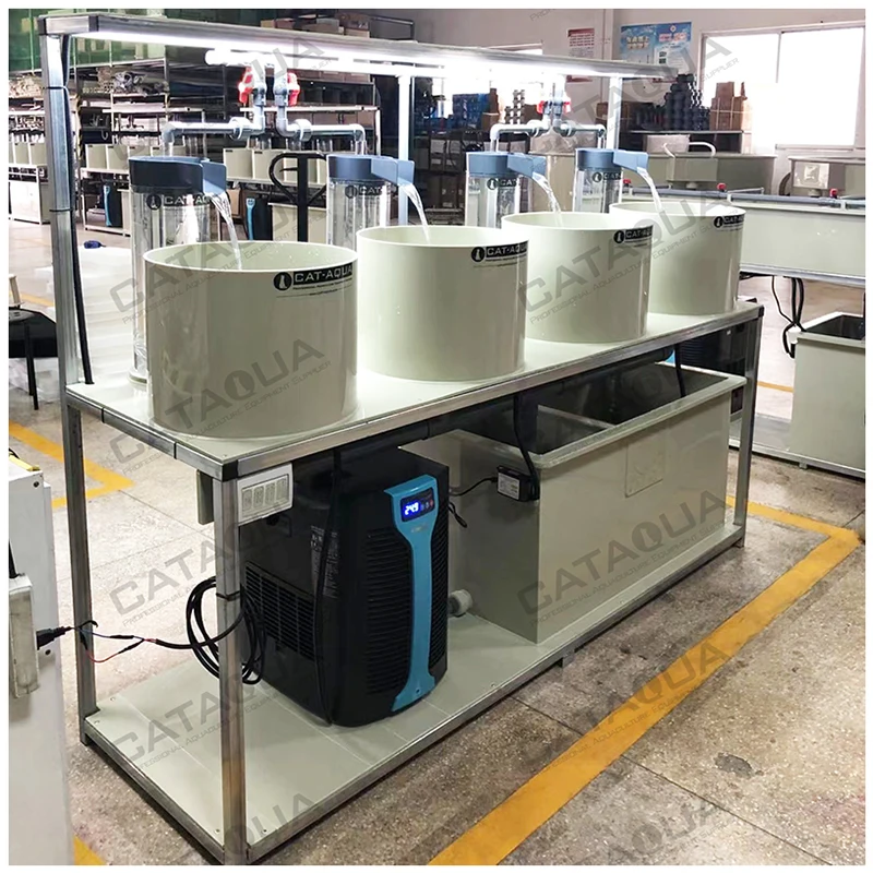 CATAQUA Fish Hatchery System Sturgeon Ras Fish Eggs Incubation and Fry Stage