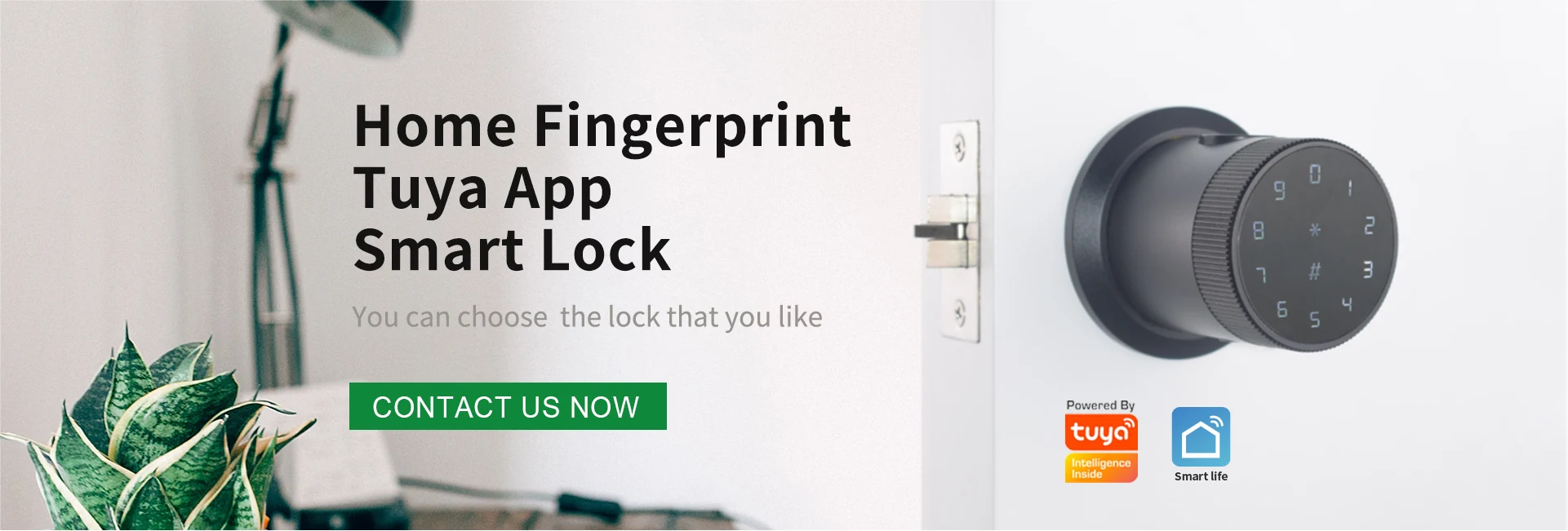 Home Fingerprint Digital Temporary password Tuya App Smart Door Lock Safe