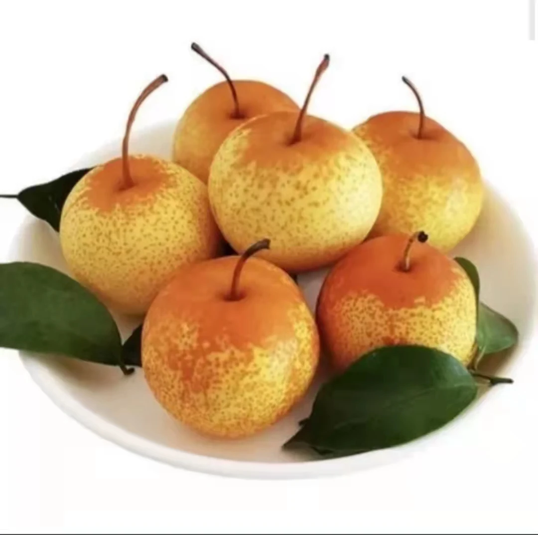 The famous delicious natural fresh pear wholesale price
