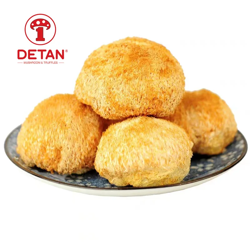 DETAN export dried organic lions mane