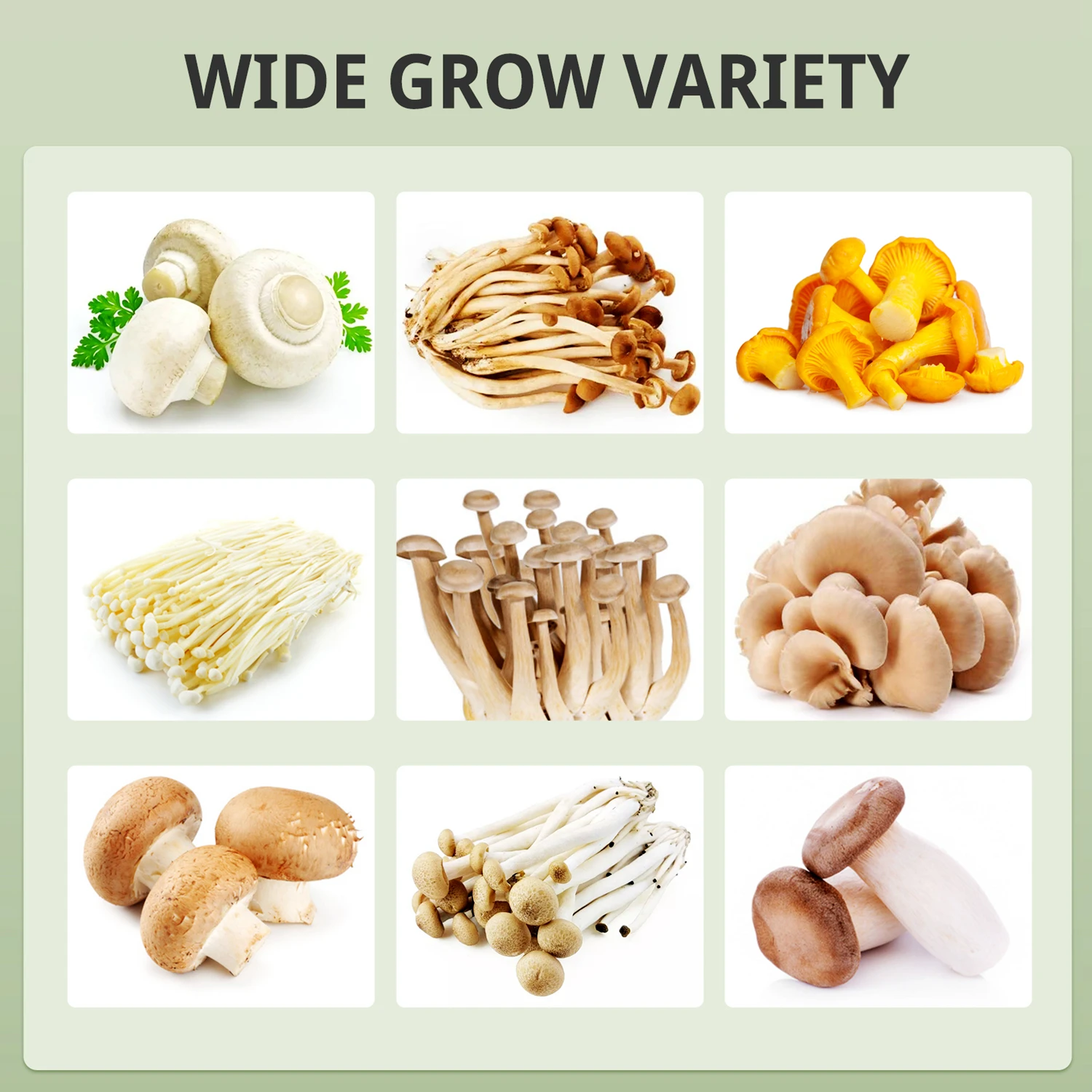 Small Indoor Hydroponic Mushroom Grow Kit ABS Time Temp. Humidity Lighting & Fanning-Control Temp. Humidity Lighting Control