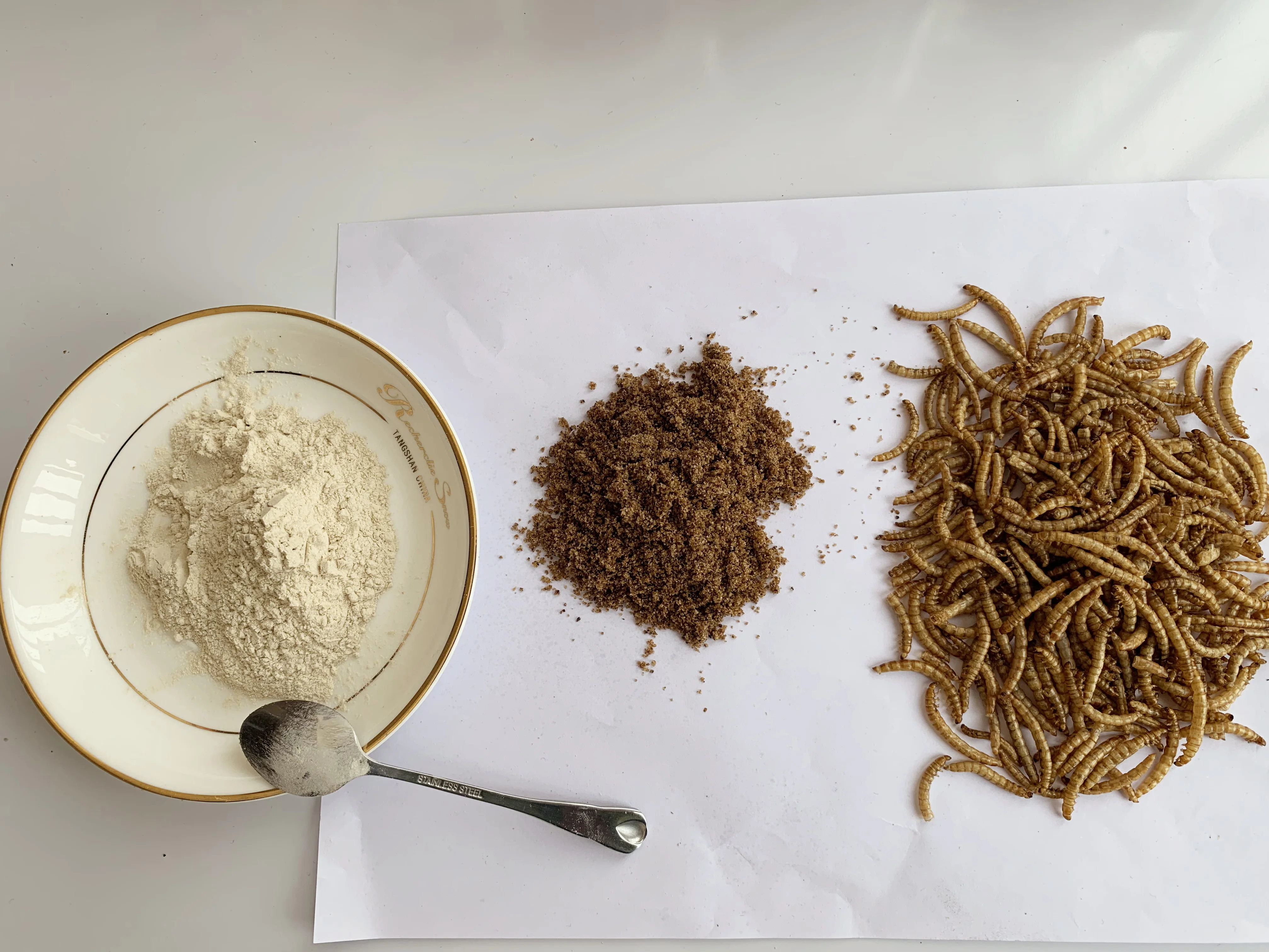 mealworm feed cricket mealworm food turtle gecko mealworm bulk pet food