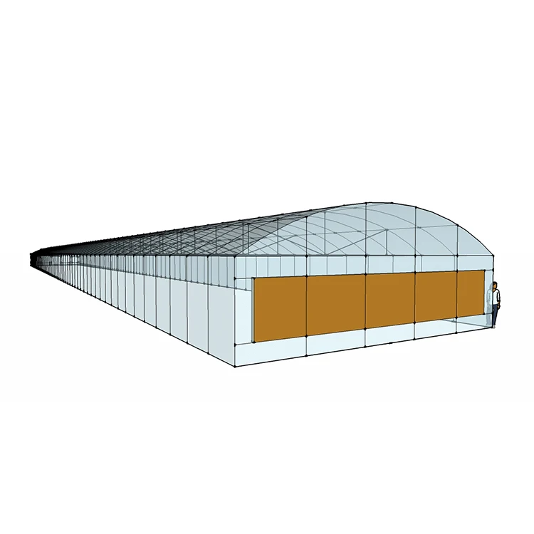 MYXL Low Cost High Economy Efficiency Greenhouses Single-span Greenhouse China Manufacturer