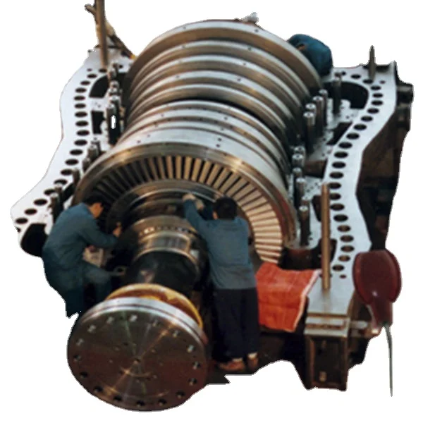 China 50kg 100kg 200kg 300kg 500kg 700kg 1000kg Low Pressure Natural Gas Lpg Diesel Steam Generator