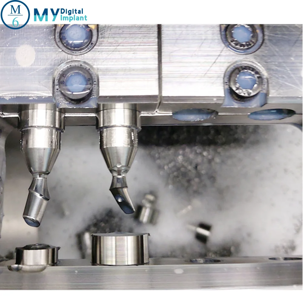 Dental lab 10mm arum imesicore holder titanium premilled blanks