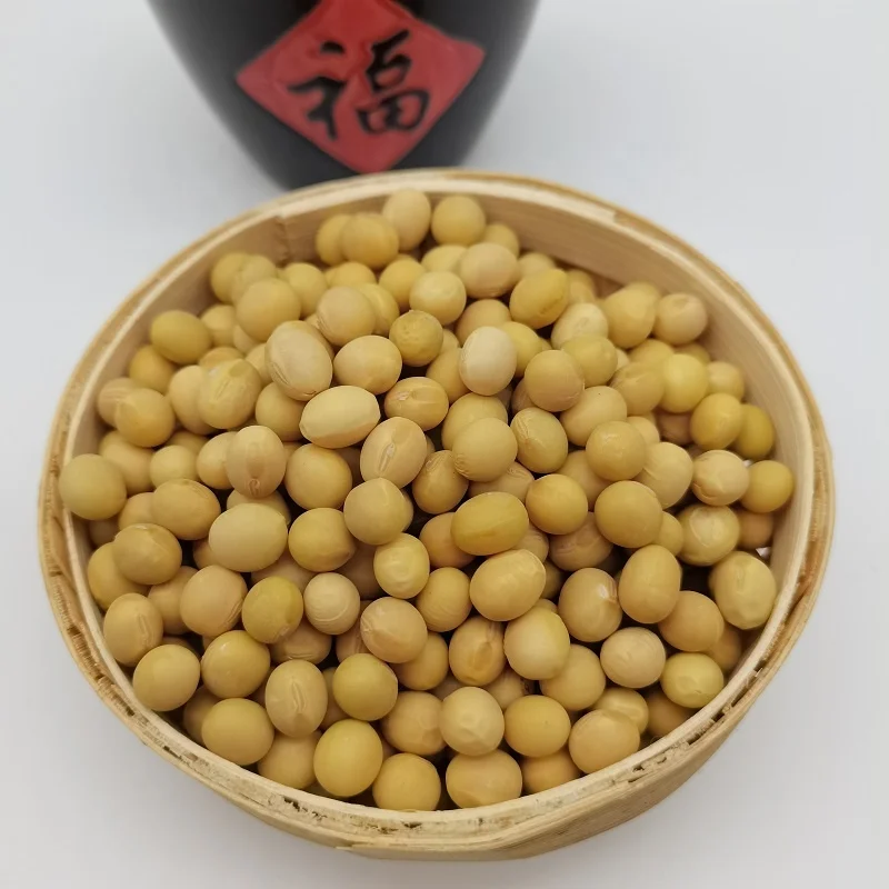 Высококачественные натуральные и без ГМО желтые соевые семена/соевые бобы оптом по низкой цене